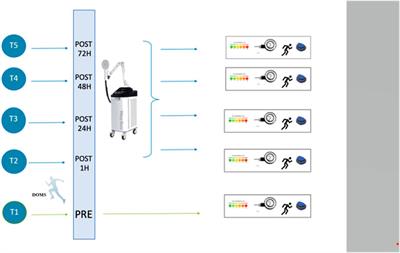 Effects of peripheral electromagnetic stimulation after an eccentric exercise-induced delayed-onset muscle soreness protocol in professional soccer players: a randomized controlled trial